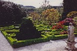A maze of hedges